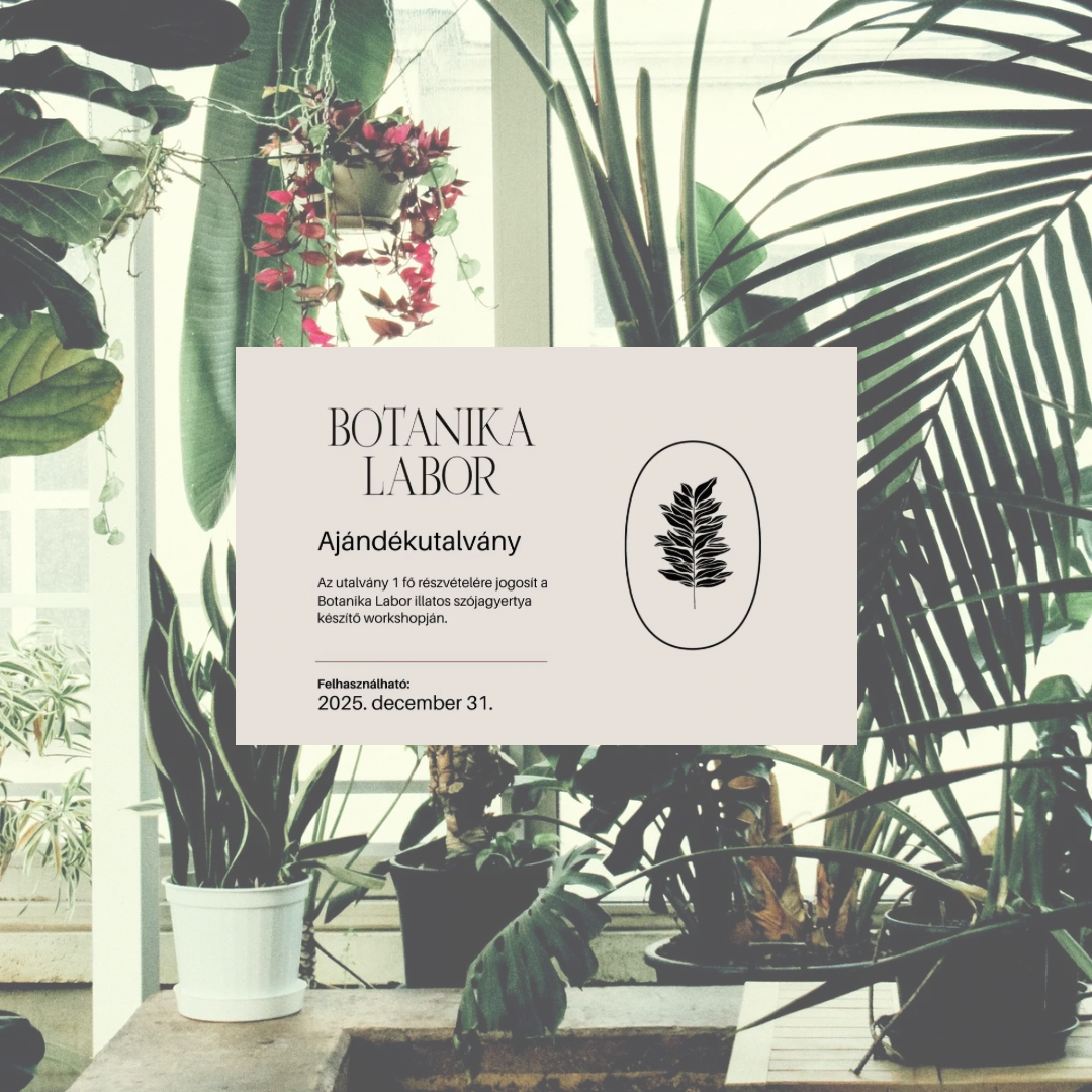 Illatos szójagyertya workshop Ajándékutalvány /GIFT CARD