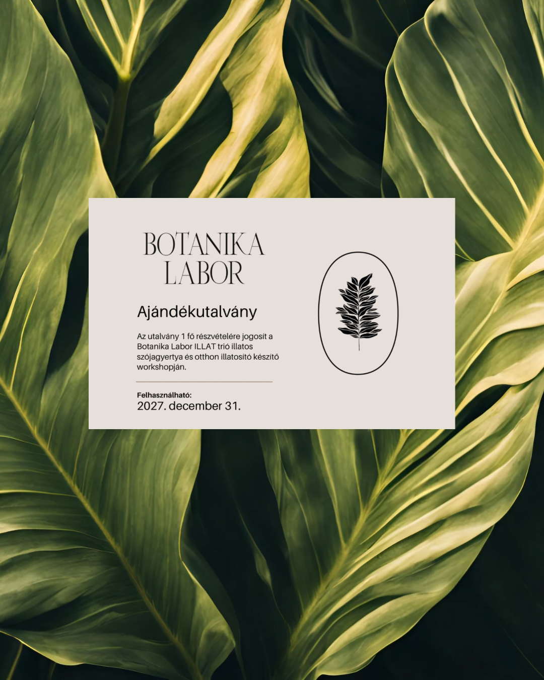 Illatos szójagyertya workshop Ajándékutalvány /GIFT CARD